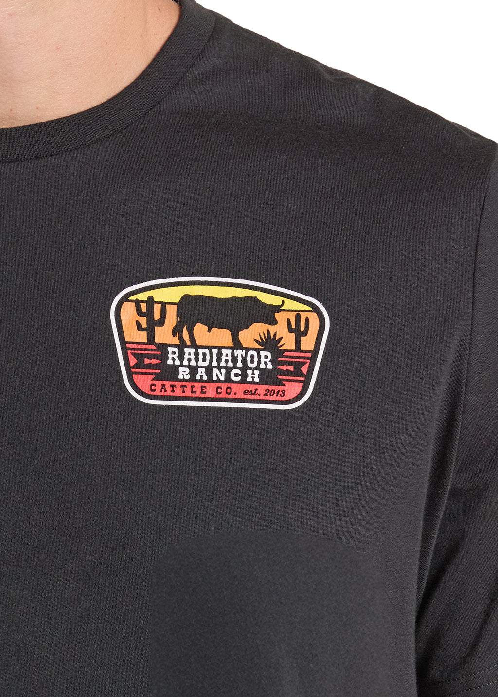 The Radiator Ranch Tee by Dale Brisby x Rock & Roll Denim