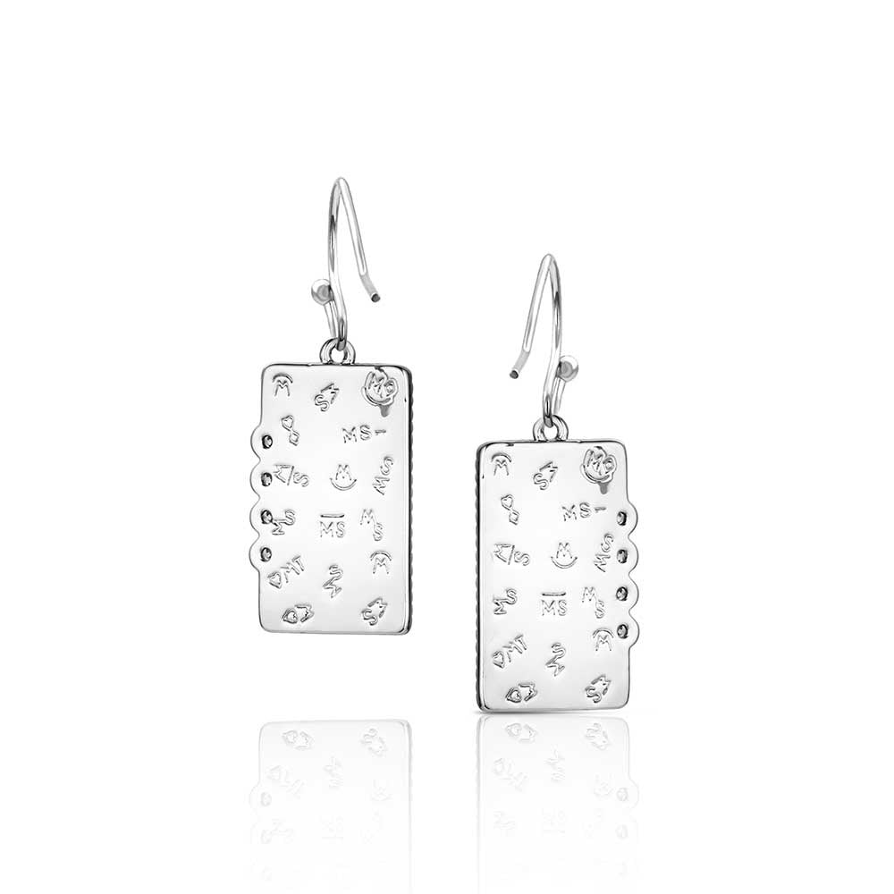 The Summer rain Turquoise Earrings by Montana Silversmiths