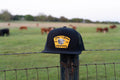 The Hot Shot Hat in Blk/Gold by Lazy J Ranch