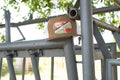 The  Desert Show Time Cap by Lazy J Ranch