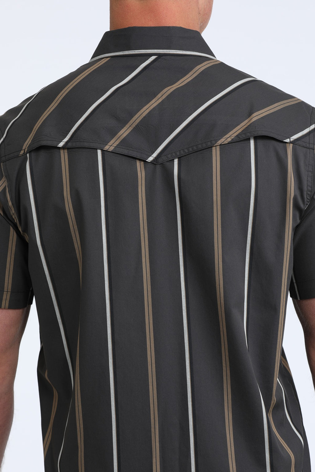 The Busted Bronco Short Sleeve Pearl Snap by Cinch