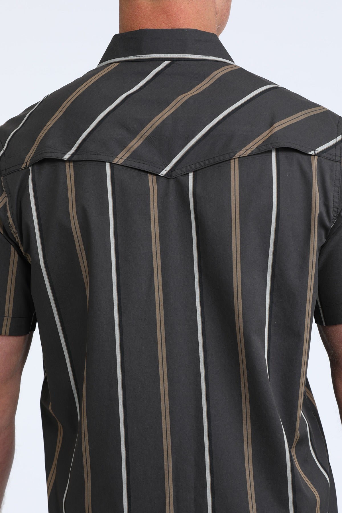 The Busted Bronco Short Sleeve Pearl Snap by Cinch