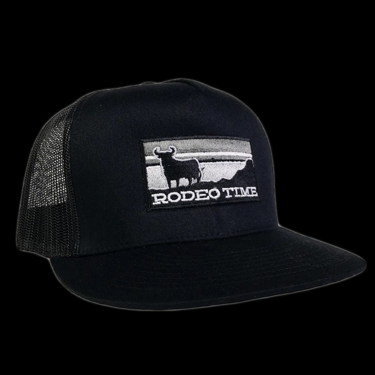 Dale Brisby Rodeo Time Black/White Hat