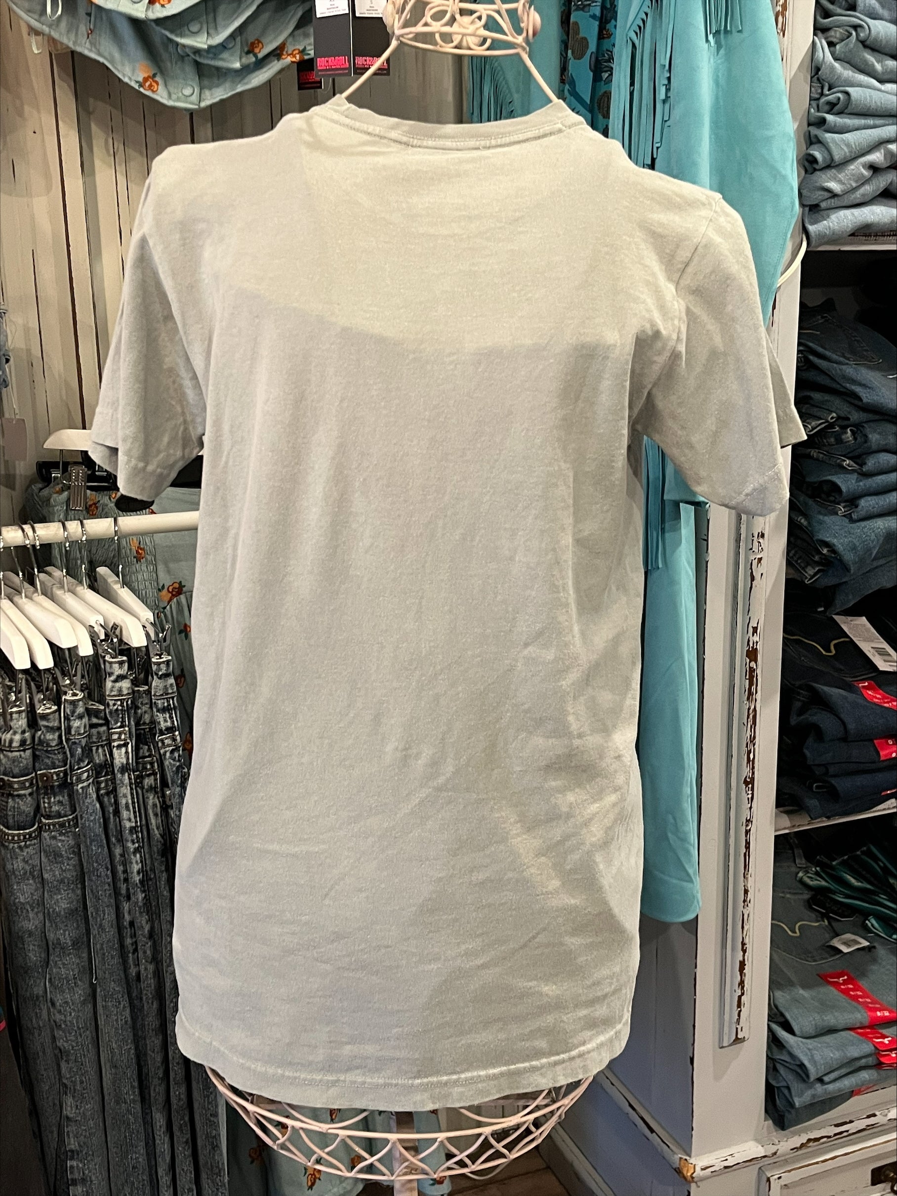 The Western Wanderlust Tee by TFP in Sage