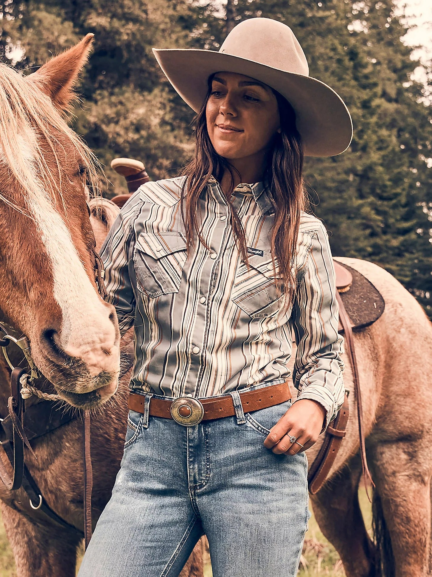 The Jaelynn Striped Pearl Snap Shirt by Wrangler
