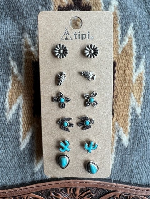 The Absolutely Arizona 6 pack Earring Set