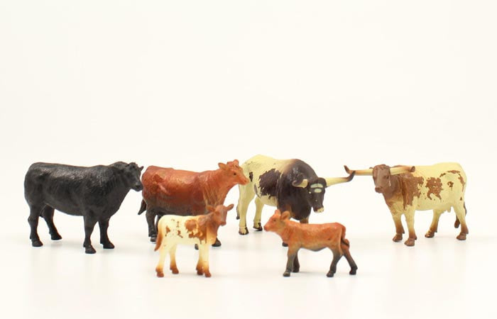 Toy Mini Cattle Herd Set