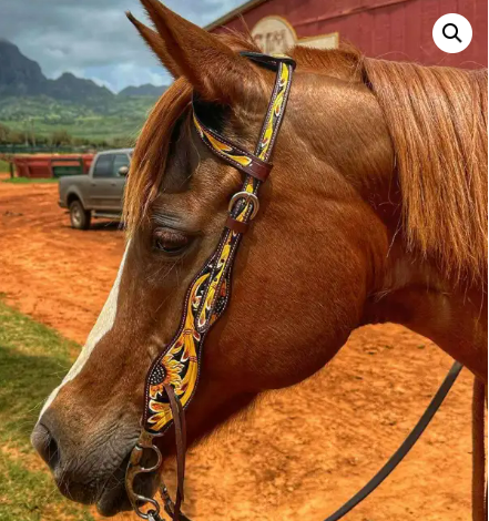 Sunflower Head Stall by Ranch Hand
