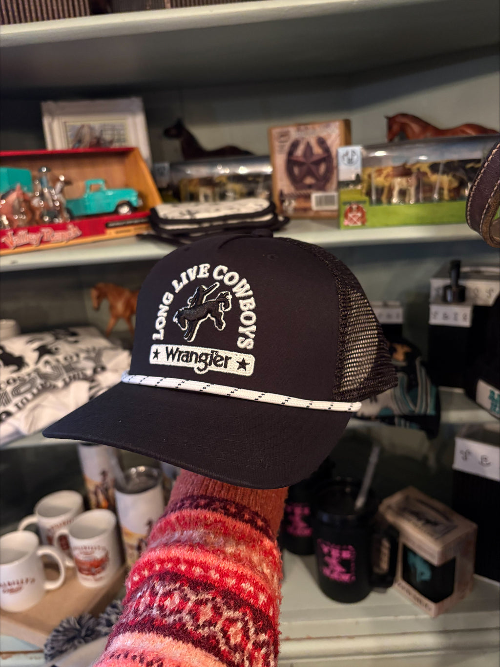 The Cinch Hat By Wrangler