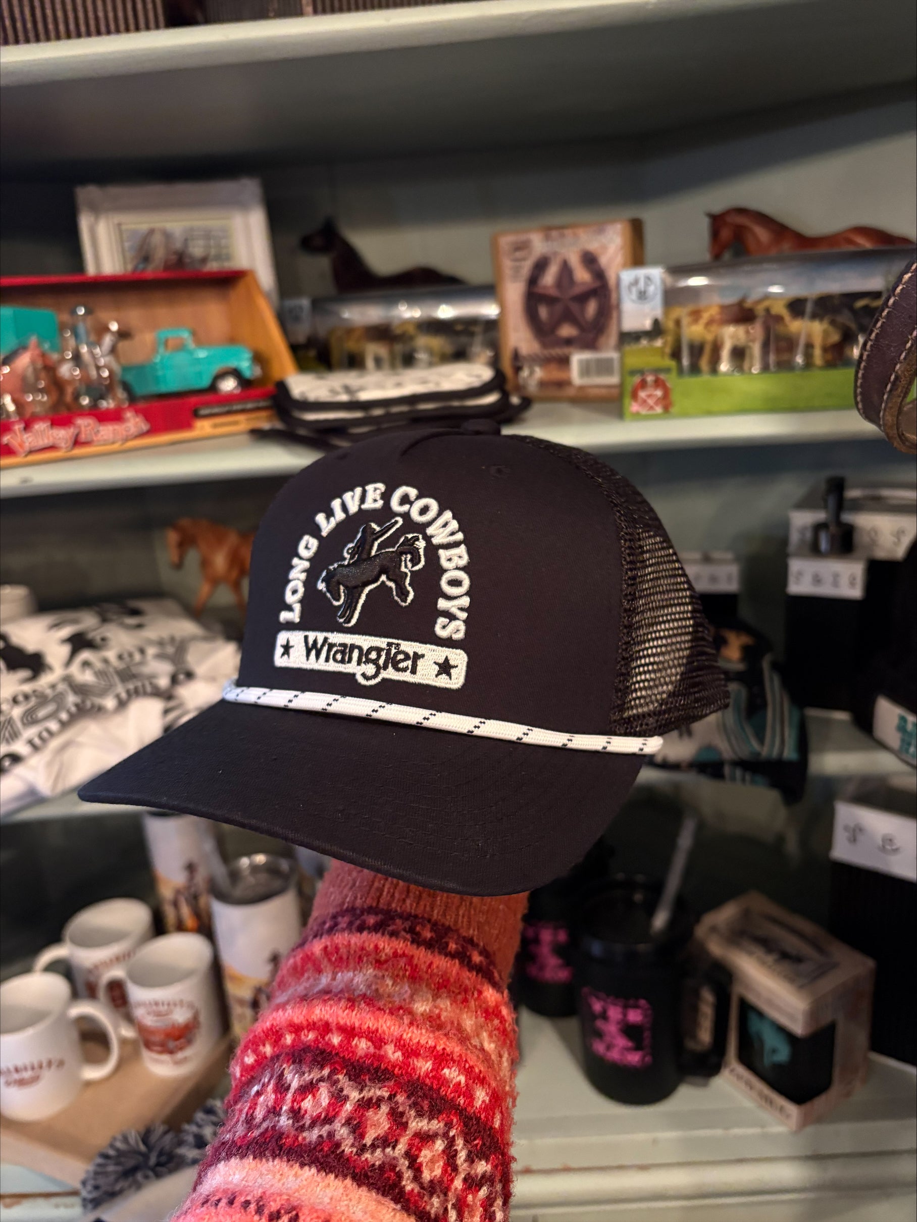 The Cinch Hat By Wrangler
