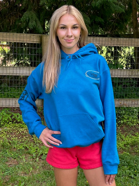The Frosty Pony Hoodie in Antique Turquoise