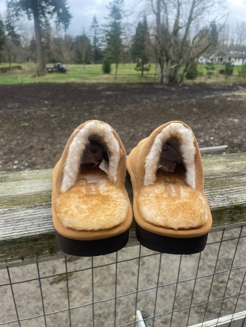 The Rancher Slipper by Ariat