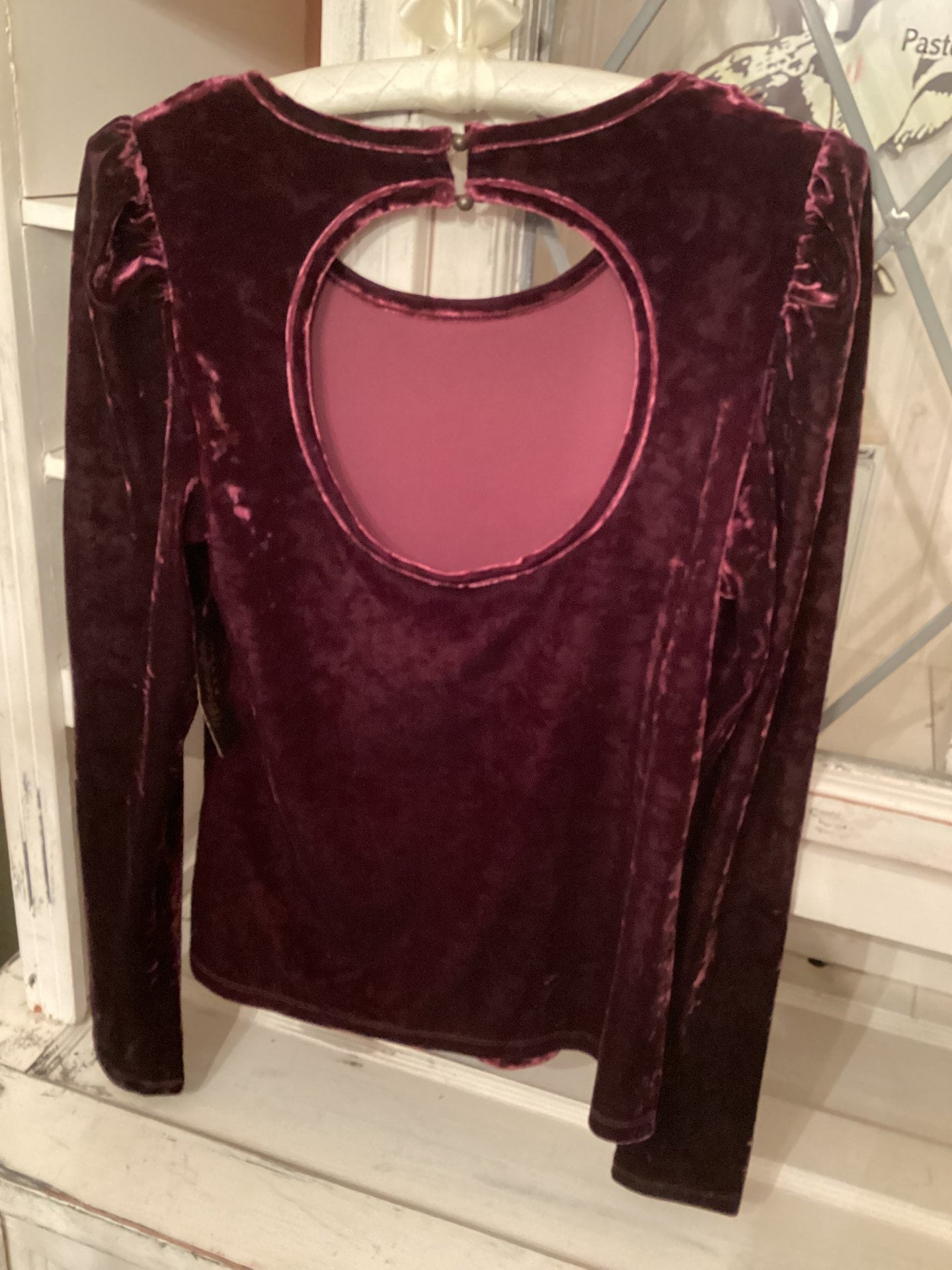 The Audra Velvet Top by Wrangler Retro