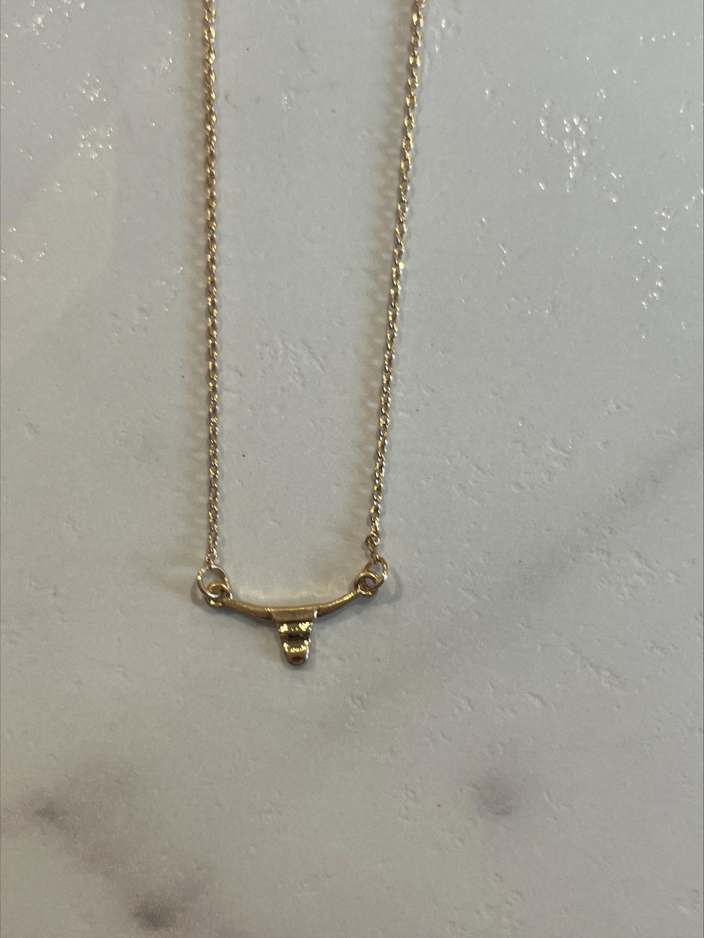The Longhorn Necklace + Earring Set
