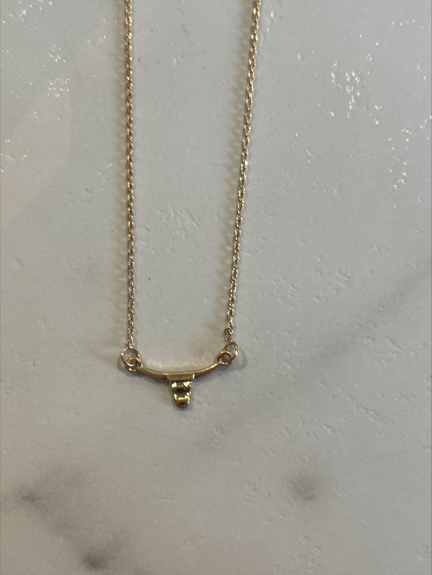 The Longhorn Necklace + Earring Set