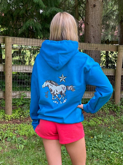 The Frosty Pony Hoodie in Antique Turquoise