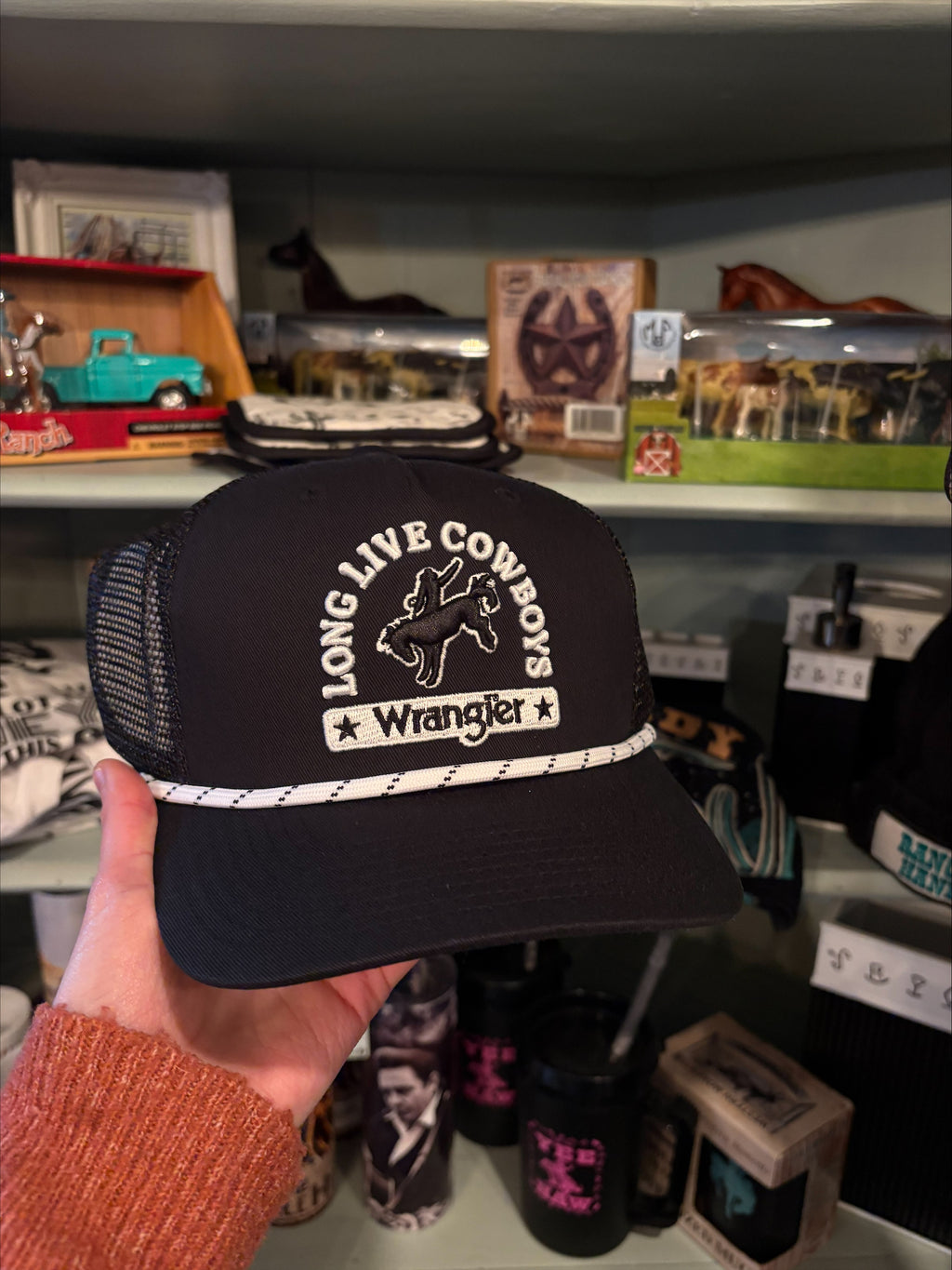 The Cinch Hat By Wrangler
