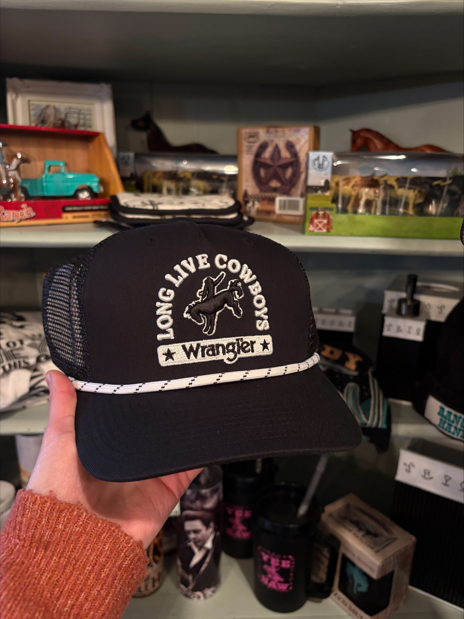 The Cinch Hat By Wrangler