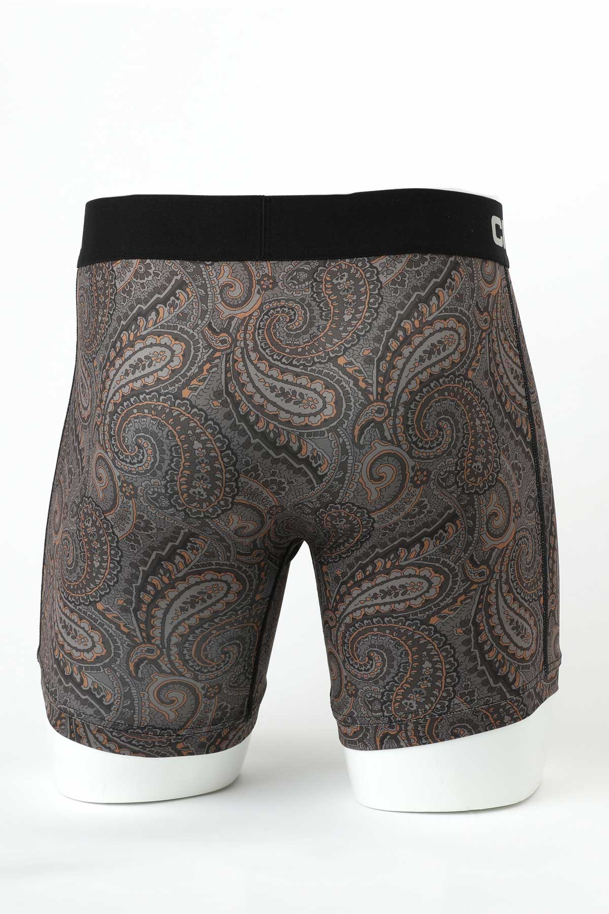 Cinch Paisley Principles Boxer Brief