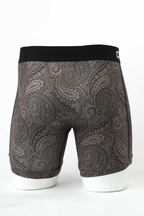 Cinch Paisley Principles Boxer Brief