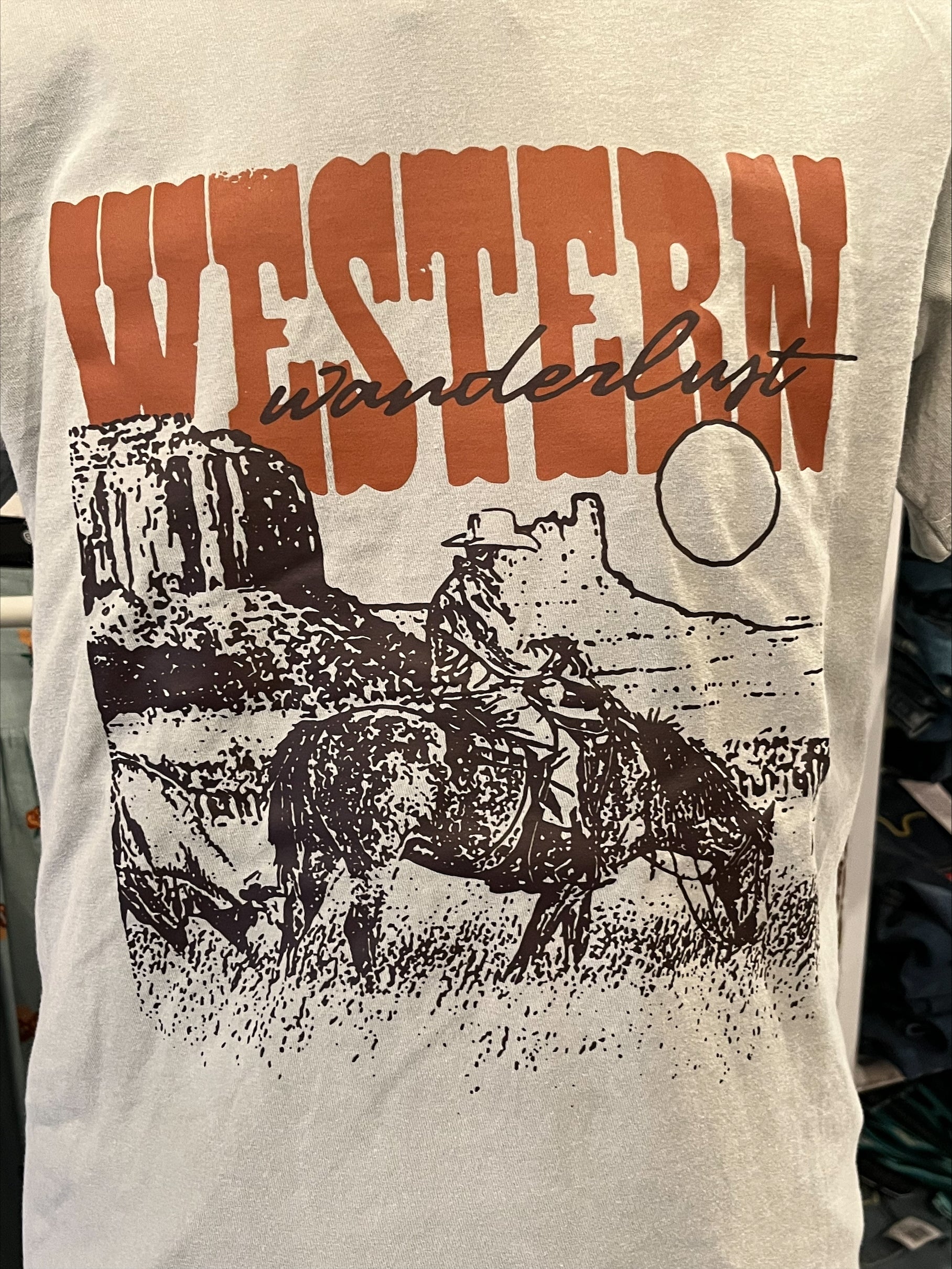 The Western Wanderlust Tee by TFP in Sage